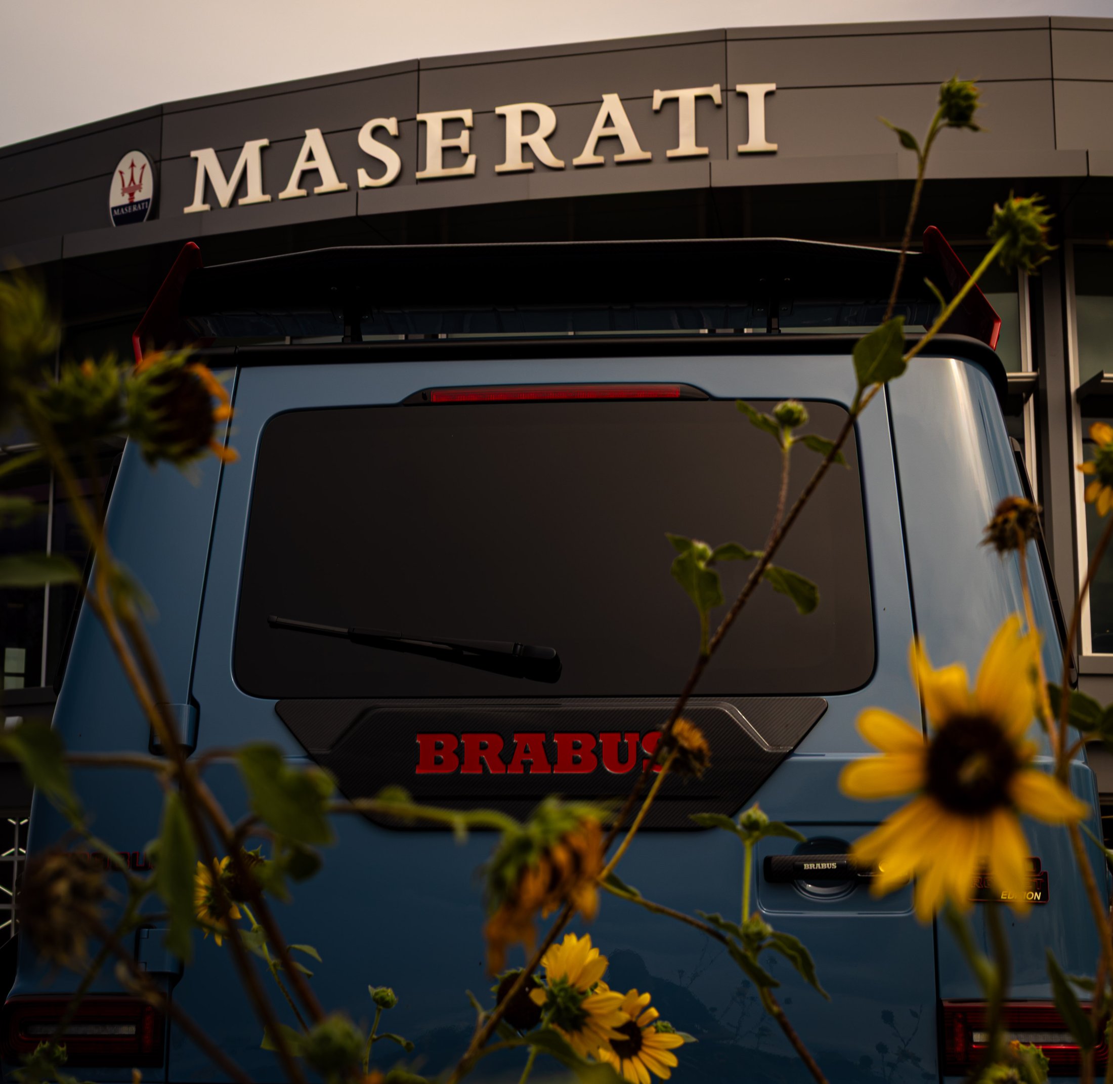 Rear of a BRABUS Mercedes G-Wagon shot through wild sunflowers, with a Maserati dealership sign behind it